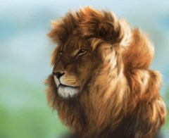 Lion libre au vent