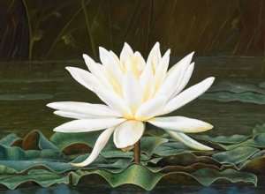 Hommage aux nuages 3