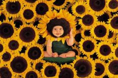 Tous nés pour rayonner