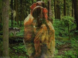 Les arbres et la forêt