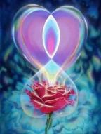 Au nom de mes roses 2